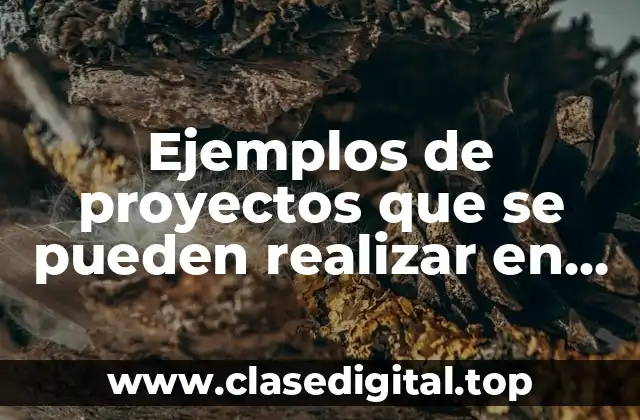 Ejemplos de proyectos que se pueden realizar en una escuela