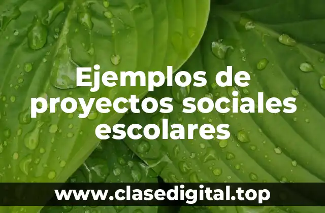 Ejemplos de proyectos sociales escolares