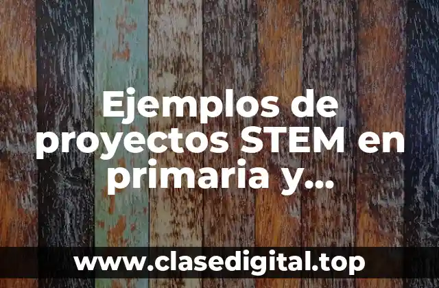 Ejemplos de proyectos STEM en primaria y Significado