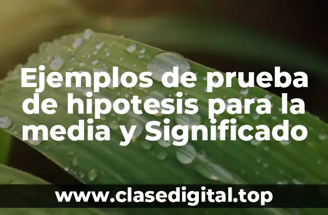 Ejemplos de prueba de hipotesis para la media y Significado