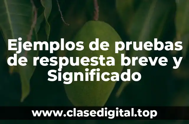Ejemplos de pruebas de respuesta breve y Significado