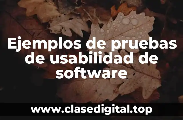 Ejemplos de pruebas de usabilidad de software