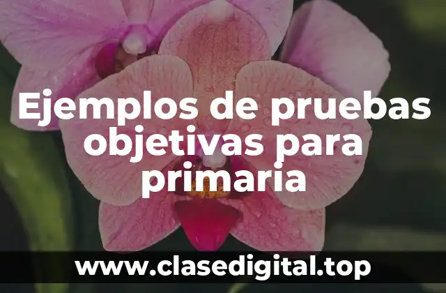 Ejemplos de pruebas objetivas para primaria