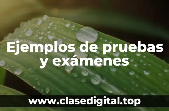 Ejemplos de pruebas y exámenes