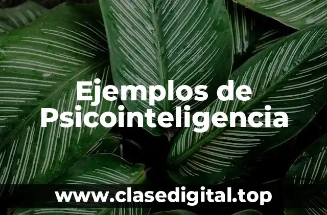 Ejemplos de Psicointeligencia