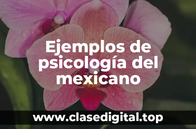 Ejemplos de psicología del mexicano