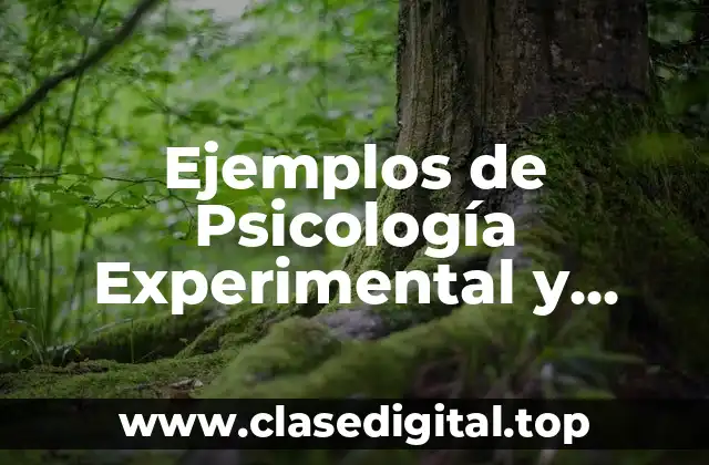 Ejemplos de Psicología Experimental y Significado