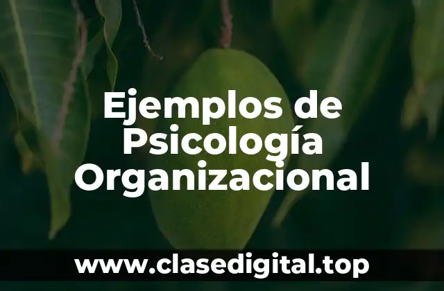 Ejemplos de Psicología Organizacional