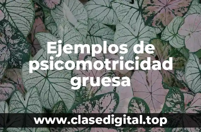 Ejemplos de psicomotricidad gruesa