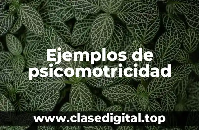 Ejemplos de psicomotricidad