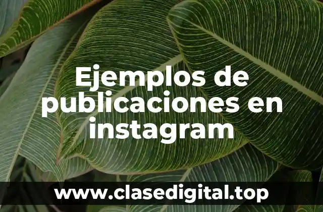 Ejemplos de publicaciones en Instagram
