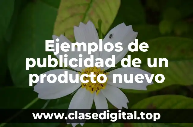Ejemplos de publicidad de un producto nuevo