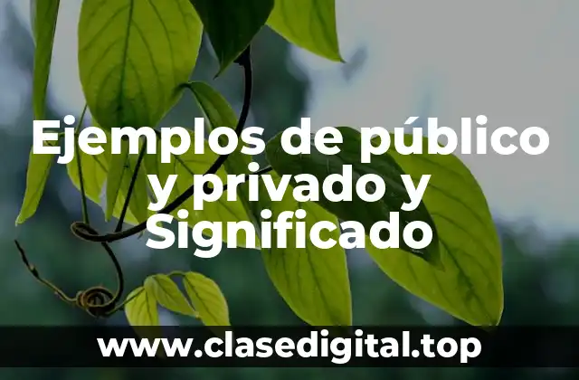 Ejemplos de público y privado