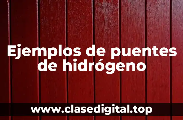 Ejemplos de puentes de hidrógeno