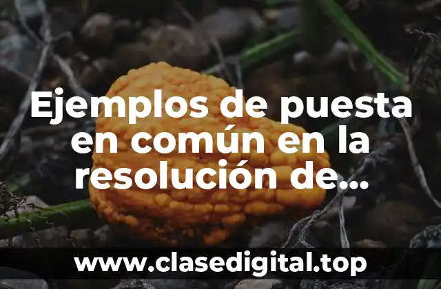 Ejemplos de puesta en común en la resolución de problemas