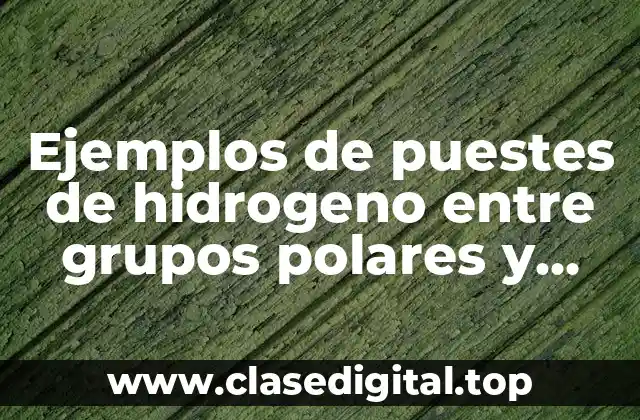 Ejemplos de puestes de hidrogeno entre grupos polares y agua