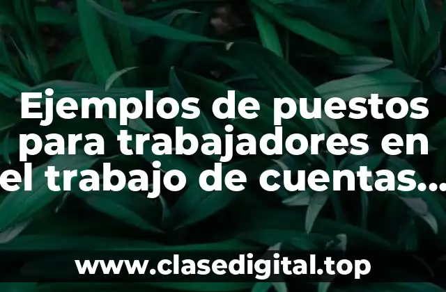 Ejemplos de puestos para trabajadores en el trabajo de cuentas