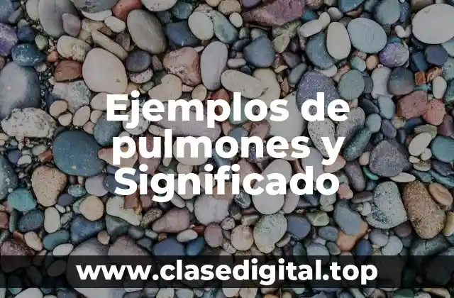 Ejemplos de pulmones