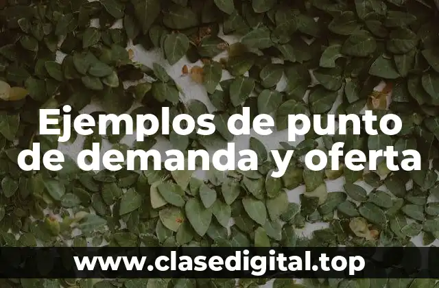 Ejemplos de punto de demanda y oferta