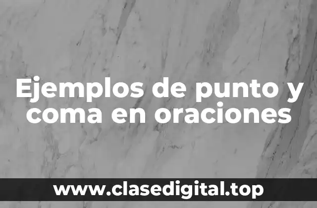 Ejemplos de punto y coma en oraciones