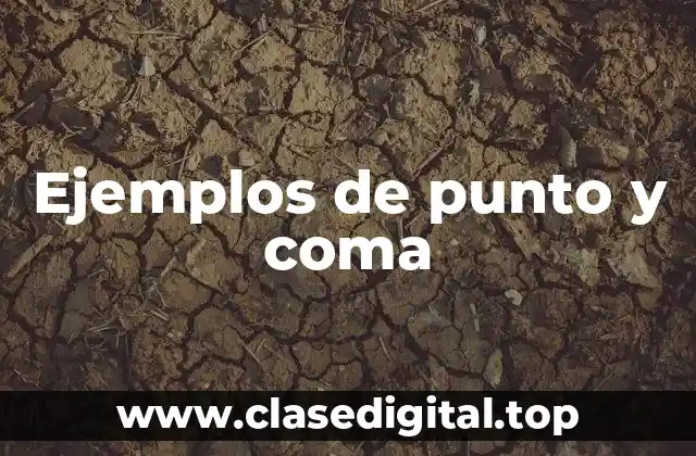 Ejemplos de punto y coma