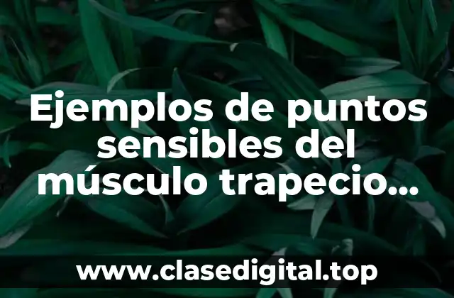 Ejemplos de puntos sensibles del músculo trapecio fibromialgia