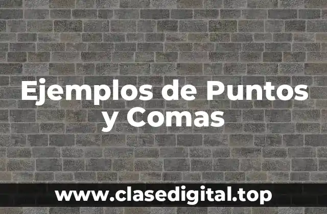 Ejemplos de Puntos y Comas