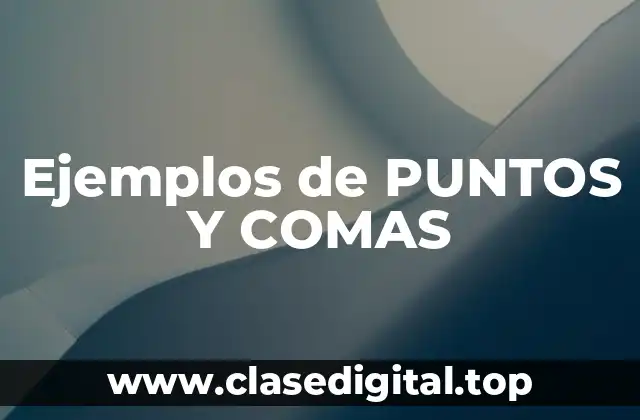 Ejemplos de PUNTOS Y COMAS