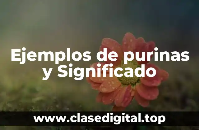 Ejemplos de purinas y Significado