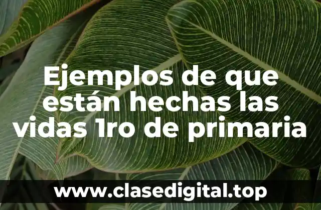 Ejemplos de que están hechas las vidas 1ro de primaria