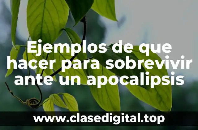 Ejemplos de que hacer para sobrevivir ante un apocalipsis