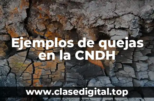 Ejemplos de quejas en la CNDH