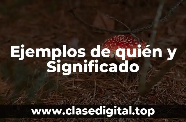 Ejemplos de quién y Significado