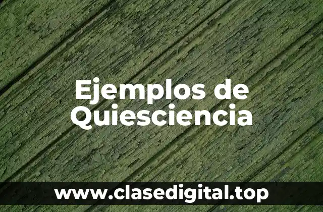 Ejemplos de Quiesciencia