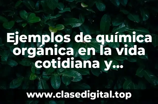 Ejemplos de química orgánica en la vida cotidiana y Significado