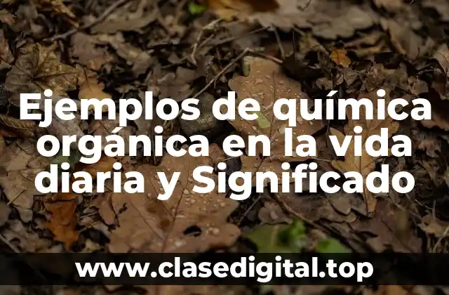 Ejemplos de química orgánica en la vida diaria y Significado