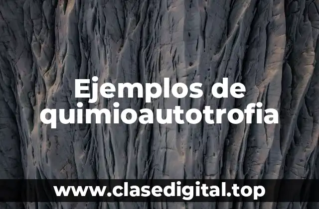 Ejemplos de quimioautotrofia
