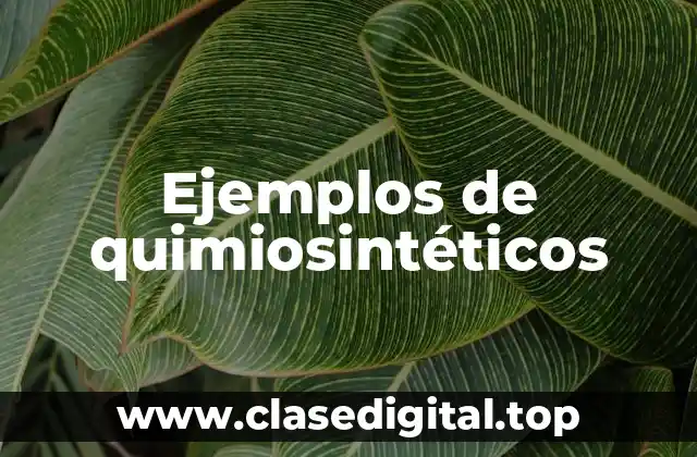 Ejemplos de quimiosintéticos