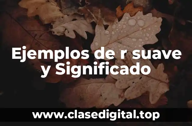 Ejemplos de r suave y Significado