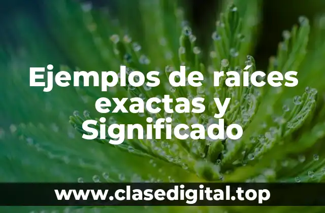 Ejemplos de raíces exactas y Significado