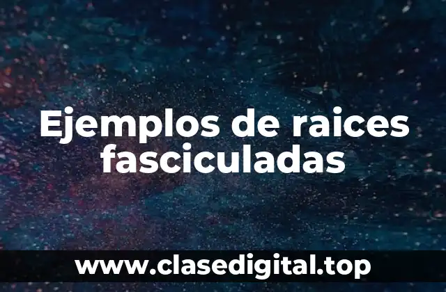 Ejemplos de raices fasciculadas