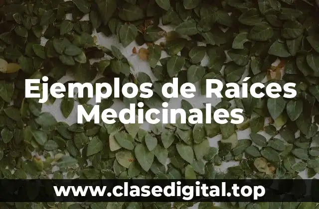 Ejemplos de Raíces Medicinales