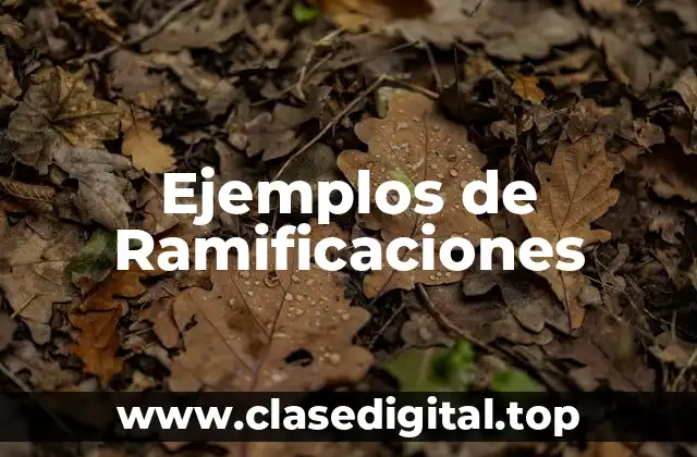 Ejemplos de Ramificaciones