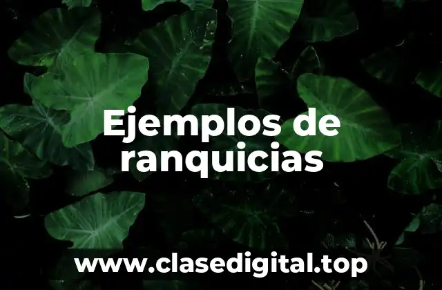 Ejemplos de ranquicias
