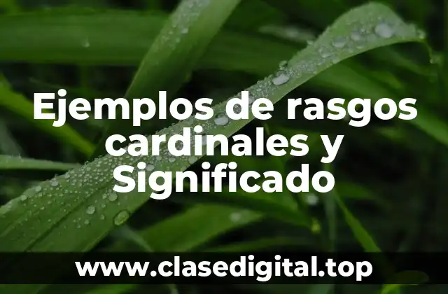 Ejemplos de rasgos cardinales y Significado