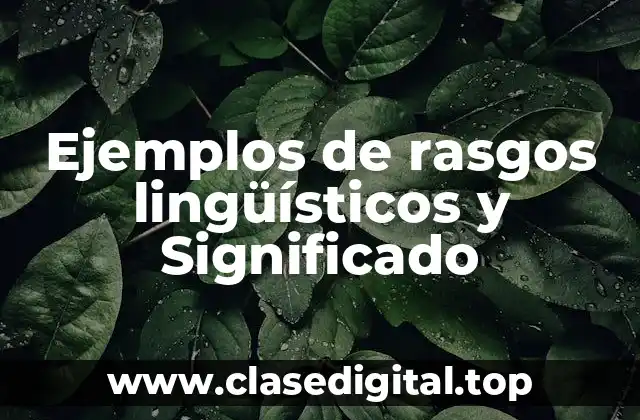 Ejemplos de rasgos lingüísticos y Significado