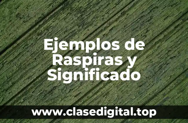 Ejemplos de Raspiras y Significado