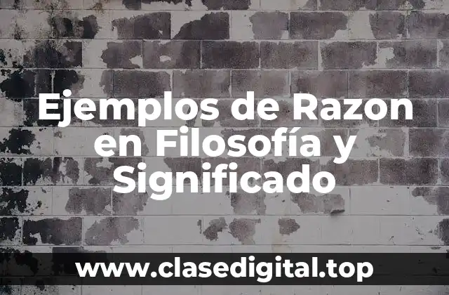 Ejemplos de Razon en Filosofía y Significado