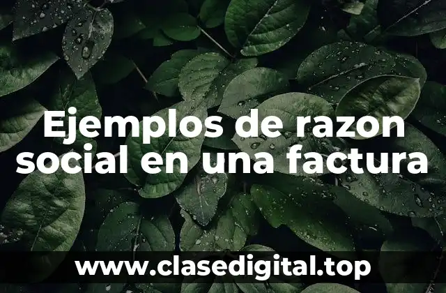 Ejemplos de razon social en una factura