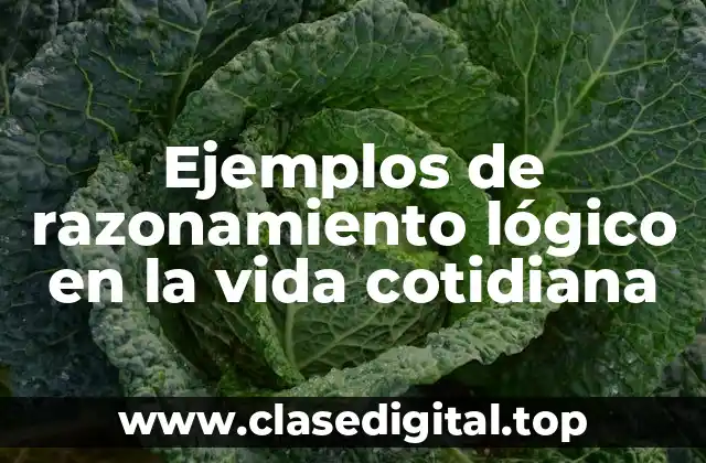 Ejemplos de razonamiento lógico en la vida cotidiana